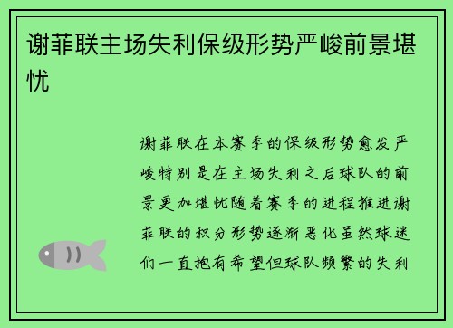 谢菲联主场失利保级形势严峻前景堪忧